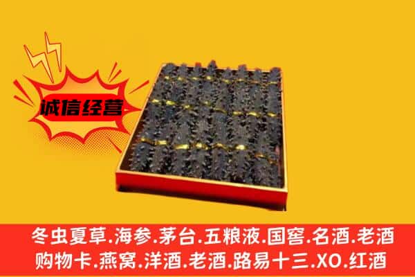 平坝区回收海参